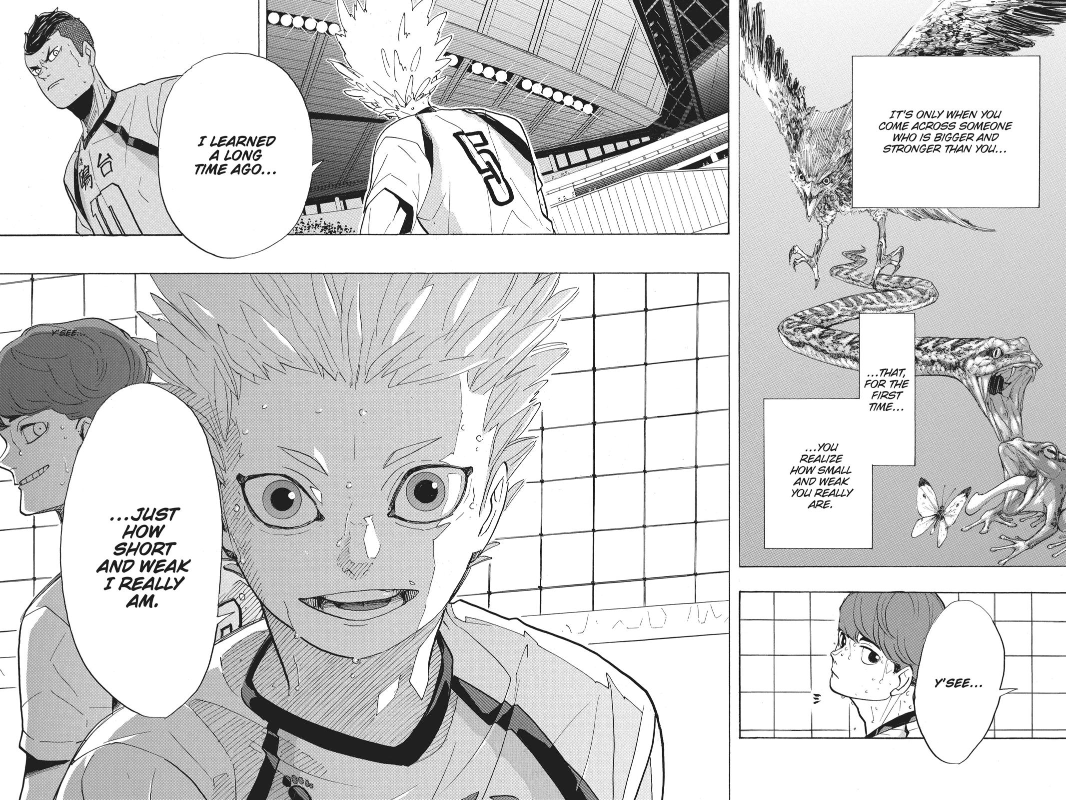 Read Haikyu Manga Online