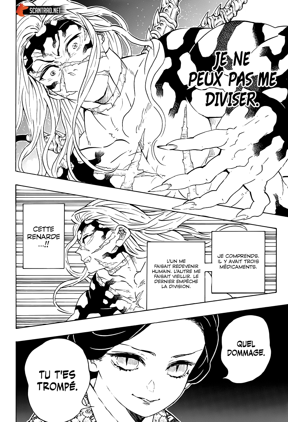 Read Demon Slayer FR Manga Online