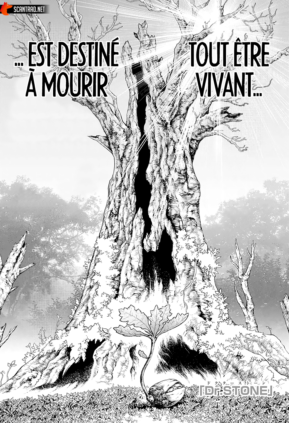 Read Dr Stone FR Manga Online